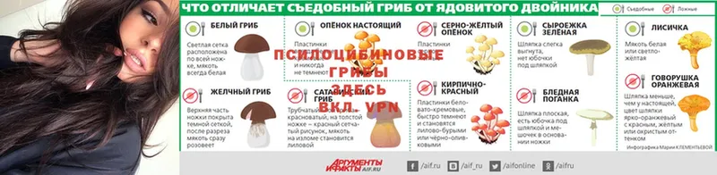 Галлюциногенные грибы прущие грибы  Балахна 